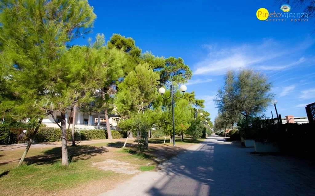 Strada parco con alberi e prato verde Appartamento Pineto Vacanza Gemma 2