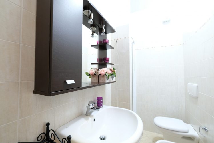 Bagno con gabinetto e lavandino con armadietto marrone scuro e specchio Appartamento Pineto Vacanza Poseidon 1