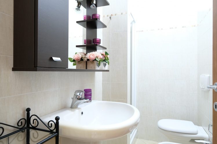 Bagno con gabinetto e lavandino con armadietto e specchio Appartamento Pineto Vacanza Poseidon 1